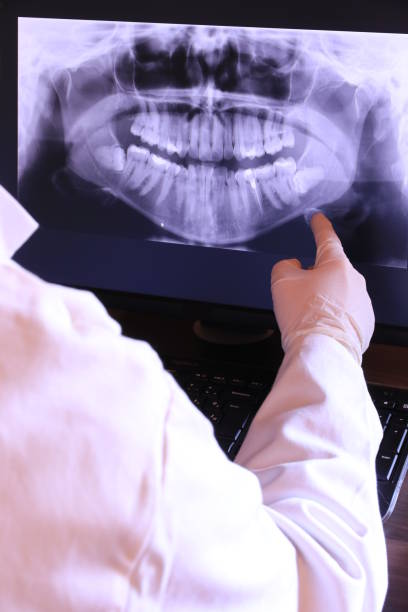 Best Emergency X-Rays and Diagnostics in Island Lake, IL